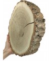 Holzscheibe Eiche, Durchmesser 20-25 cm, Dicke 6 cm, mit Rinde